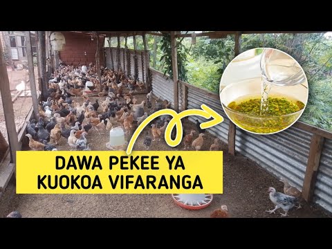 DAWA MAALUMU YA KUOKOA VIFARANGA WADOGO WASIFE HARAKA