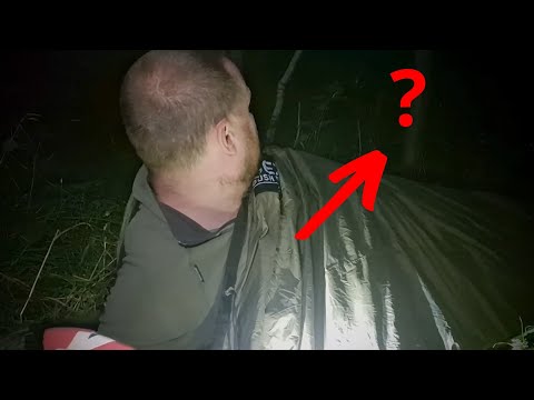 مقاطع مرعبة صورتها الكاميرات في الغابة لو ما صورتها الكاميرا ما بنصدق