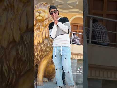 طول ما انا عالي طول ما انا ناجح عمري ما هسلك من البيكس بيع بوفيه عشان انا ناجح