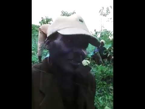 WANYIHA NA MZIKI WAO MAARUFU KAMA NTONGA AU INTONGA