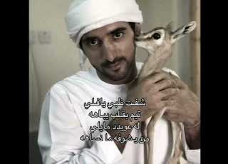 شـفـت ظـبـي يـافــلــي