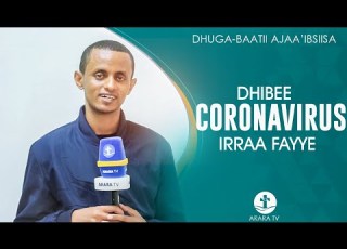  Dhibee Coronavirus Irraa Fayye Dhuga Baatii Ajaa Ibsiisa