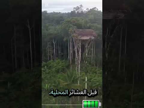 Animal Natur كوروواي والمنازل الشجرية Animal Natur كوروواي والمنازل الشجرية