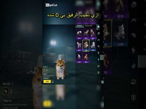 تعلا اقولك ازي تجيب الرفيق مجانا في ببجي موبايل تعلا اقولك ازي تجيب الرفيق مجانا في ببجي موبايل