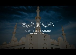  كلا إذا بلغت التراقي ناصر القطامي تلاوة مؤثرة سورة القيامة كرومات قرآن شاشة سوداء