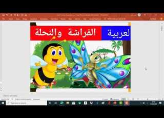 الفراشة والنحلة