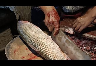 Uzzal Fish Cutting Various Types Of Fish Cutting Plese Joyan Enyoy My Live 2ufc Fish Vairal