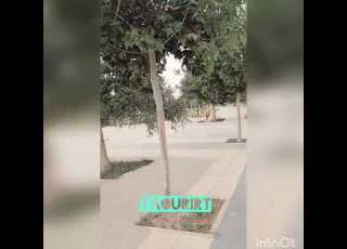 العيد التاوريرتي نعطيك قلبي