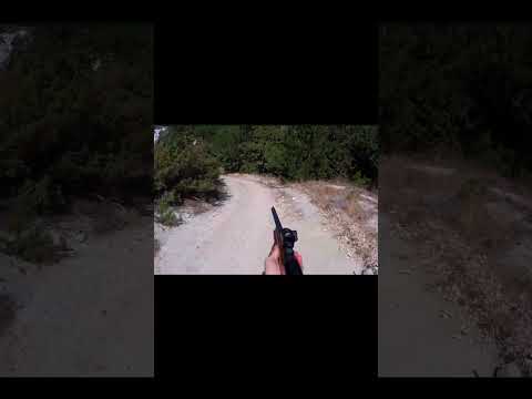 في أقل من 3 ثوان انتهى الأمر صيد الخنازير الخنازير البرية سراويل الصيد الصيد الحراري الخ