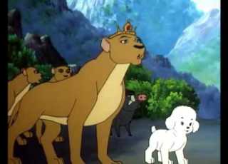 سيمبا الحلقه 51