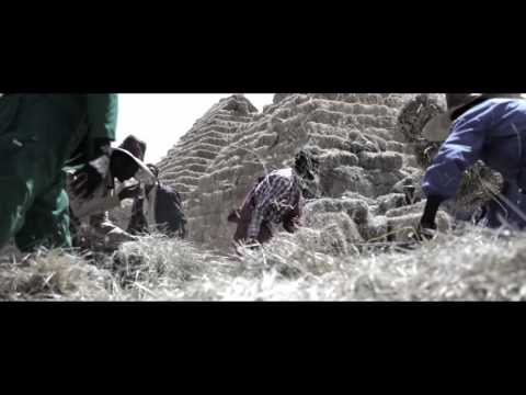 Abbush Zallaqaa 2016 New Affan Oromo Official Music Amootee