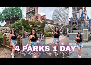  4 PARKS IN 1 DAY The Ultimate Walt Disney World Solo Challenge
