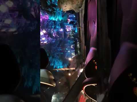 اضرب وريح تصيح تسلم يا حامي الدار