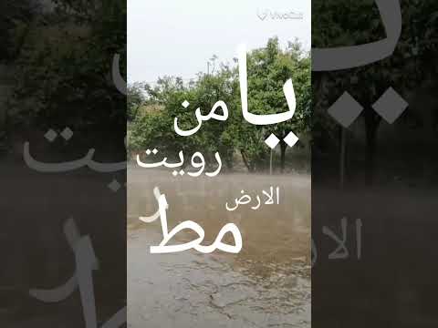 دعاء المطر