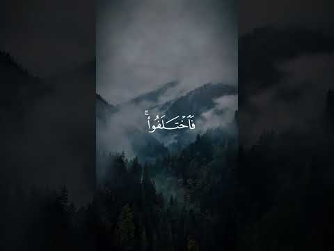 وما كان الناس إلا القارئ عبدالرحمن مسعد قرآن