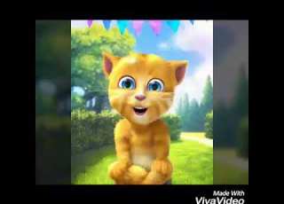 Johny Johny Yes Papa By Talking Ginger Talkingginger Johnyjohnyyespapa Rhymes