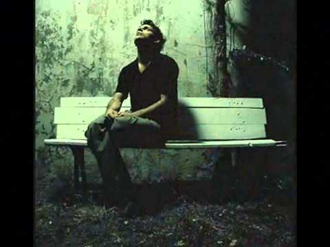 تامر عاشور معلش