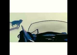 قصيده عن الذيب اصطياد ذيب قنص ذيب حالات واتس اب شبل مطنوخ