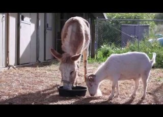 Mr G And Jellybean