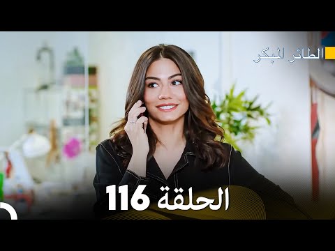 مسلسل الطائر المبكر الحلقة 116 Arabic Dubbed FULL HD
