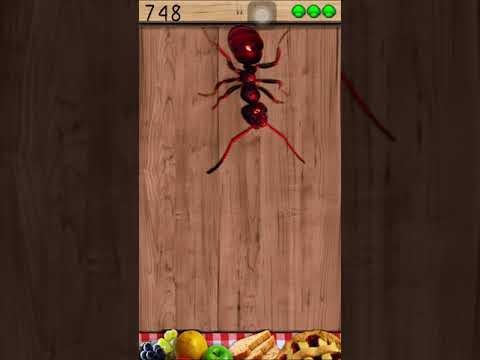 Ant Smasher High Score 1 957 Points
