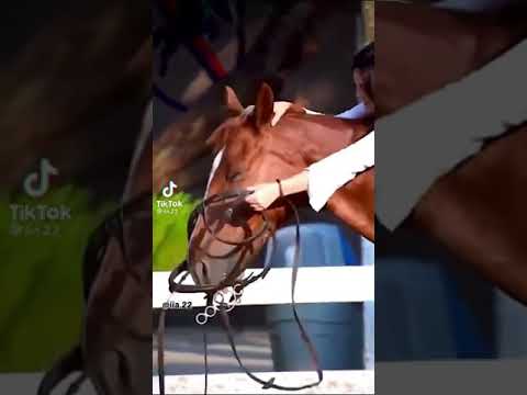 هوايتي ركوب الخيل عند خالي خيول بس مو مدربات ما اقدر اركبهن