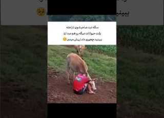  بعد انسان خا چجور به جو ن هم افتادند
