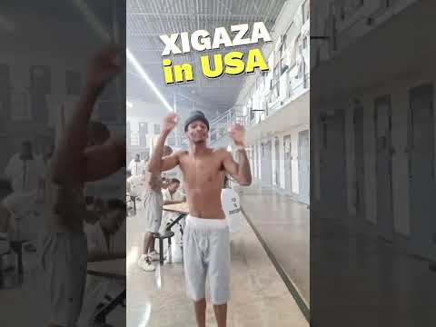 Xigaza Sheyla MP3 Ft Un Rine Xigaza Music Energetic Afrobeat From South Africa