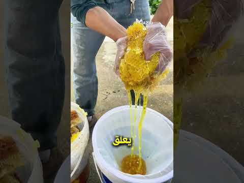 لن تصدق ماذا يوجد داخل العسل قبل تصفيته