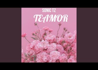Teamor