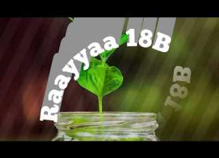 Raayyaa Abbaa Maccaa 18B