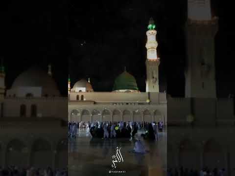 صل يارب ثم سلم على من هو للخلق رحمة وشفاء ﷺ