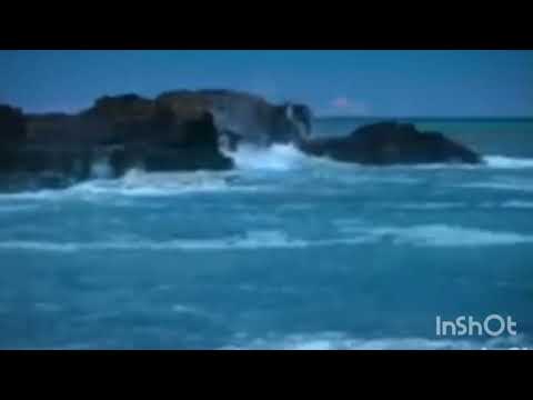 Dawaa Jinnii Fii Sihrii Waanyoo Fedha Rabbiitiin