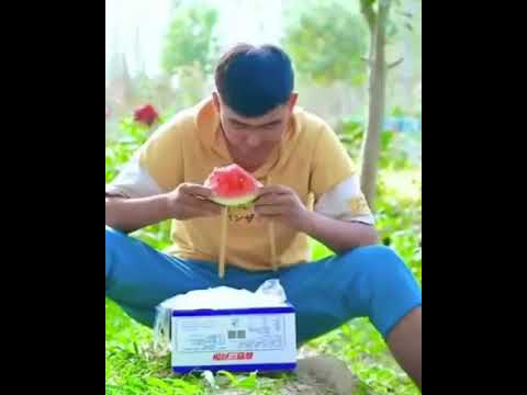 SHUKRANI YA PUNDA NI MATEKE