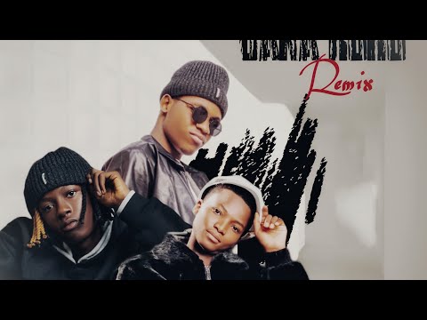 Ealis Boy Bana Roko Remix Lil Kboy Dan Karamin Hajiya Official Music Audio 2026