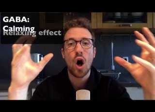 Heal An Imbalanced Brain With B6