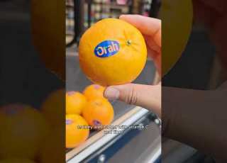  Insofresh Insofreshsg Ntuc Fairpricefinds Ntucfairprice Qualityfoods Yunnanoranges
