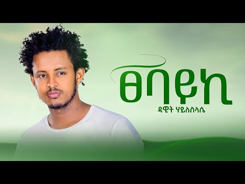 Dawit Hailesilassie Tsebayki ዳዊት ሃይለስላሴ ፀባይኪ New Ethiopian Music 2024 Official Music 4K