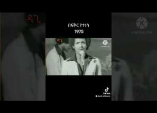 ፀሀይ ዮሐንስ በፍቅር የተነሳ