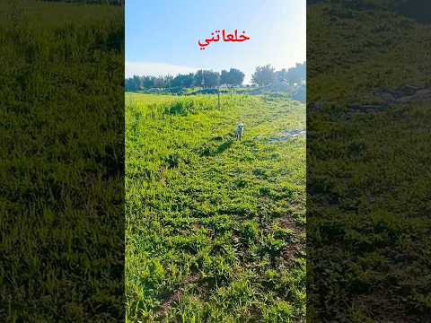 خل عاتني احسابلي مشات اكسبلور البركي النظافه