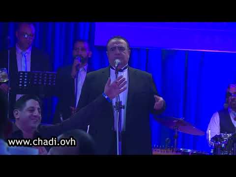 شادي جميل طول البنية اول عشرة محبوبي زوالف دلعونا