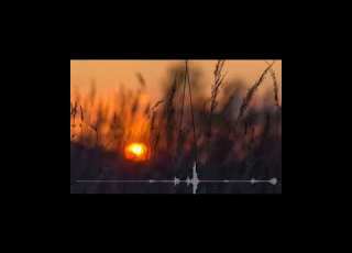  رقية الشيخ العبد الفقير لله