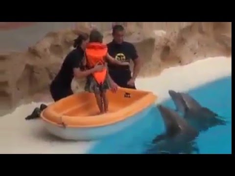 سبحان الله من أجمل ما رأت عيني