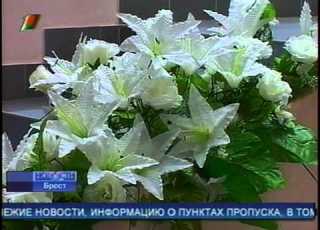 БТ News манеж