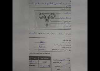 إمتحان النشاط العلمي الفرض التاني الدورة التانية المستوى السادس إبتدائي