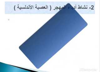  فيديو محاضرةالتجديد عند شعراء المهجر