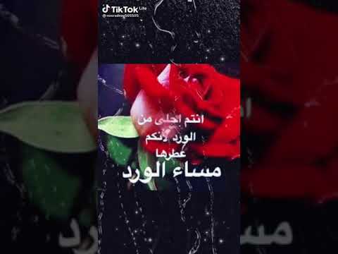 مساء الفل للناس الكل