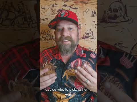 Dark Truth About Eeny Meeny Miny Moe Racism Slavery Dark Evil History