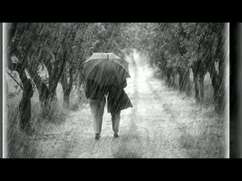 빗속을둘이서 김정호