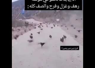 فاصل إعلاني